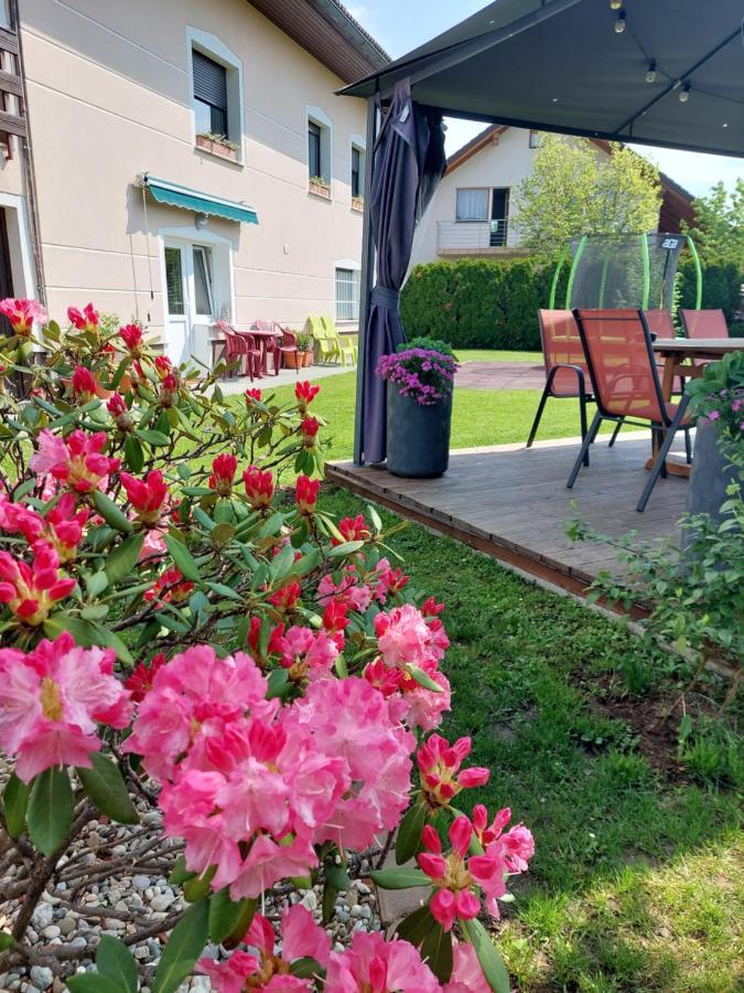 Studio Apartma Zirovnik Cerklje na Gorenjskem Eksteriør billede