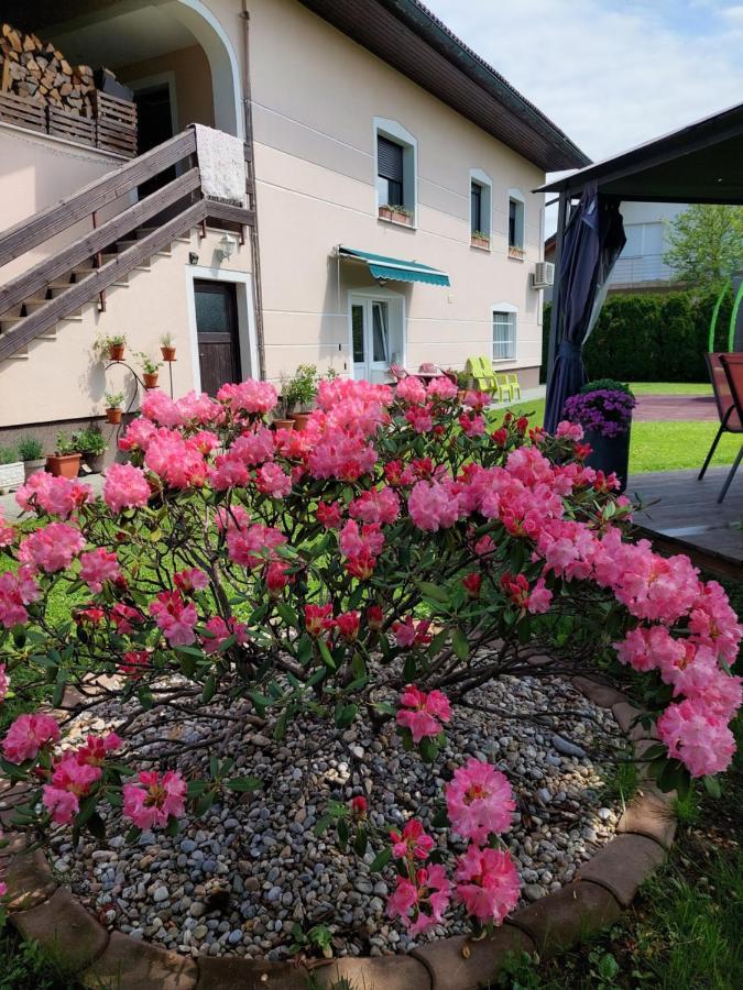 Studio Apartma Zirovnik Cerklje na Gorenjskem Eksteriør billede