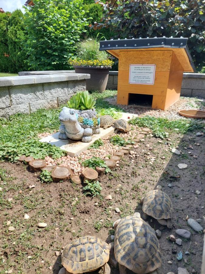 Studio Apartma Zirovnik Cerklje na Gorenjskem Eksteriør billede